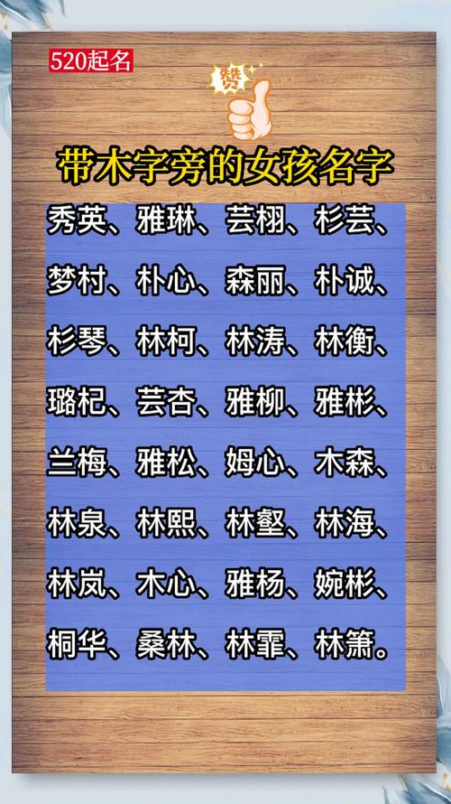 起带木字女孩名字大全_好听的带木的女孩名字大全_带木字的女孩名字大气一点