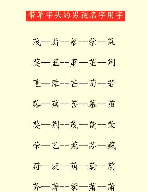 男孩取名草字头的字有哪些字_2021男孩名字洋气草字头_草字头的字男孩起名字
