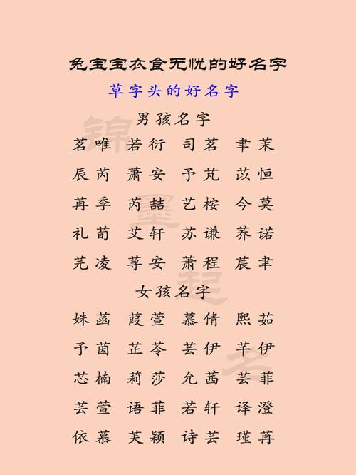 给男孩起带草字头的优质名字，寓意美好又具现代感