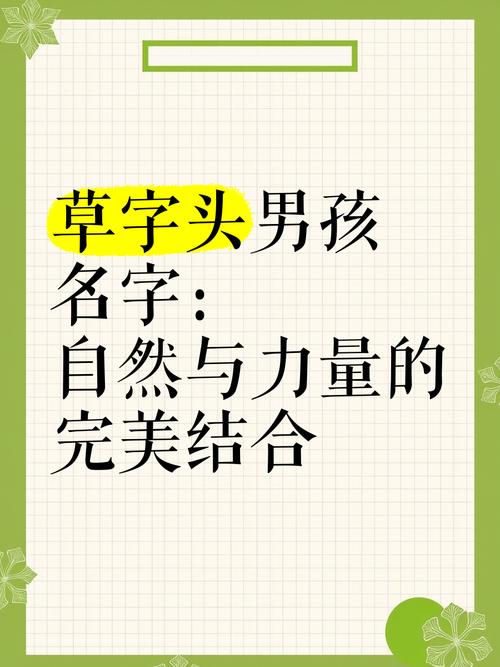 草字头的字男孩起名字_男孩草字头寓意比较好的名字_男孩起名草字头