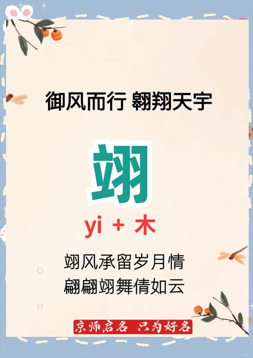 翊字用作男孩名好吗_翊字取名男孩有寓意_翊的男孩子名字