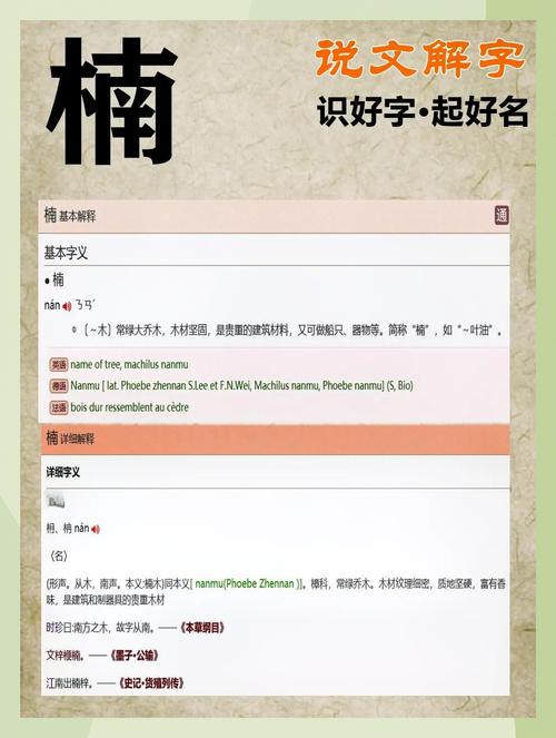 楠字取名寓意深，坚固贵重伴一生？为孩子选名必看